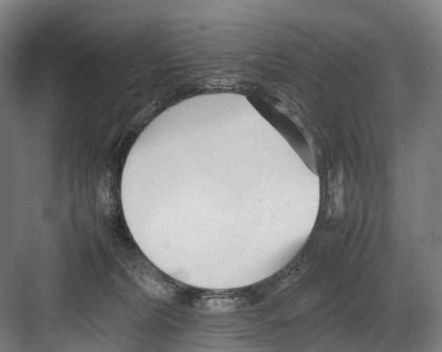 X0000082150228200702162217