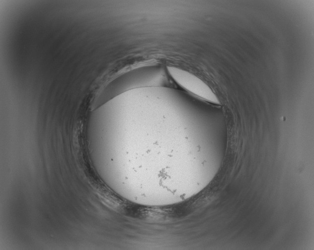 X0000082150229200702162217