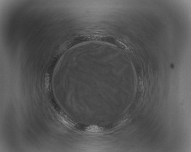 X0000082150231200702162217