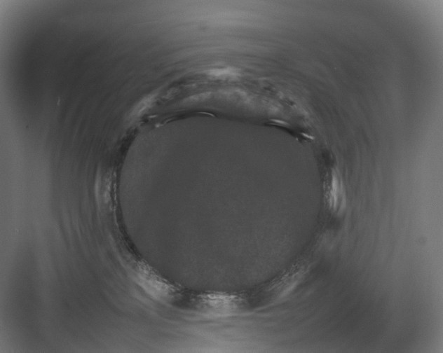 X0000082150233200702162217