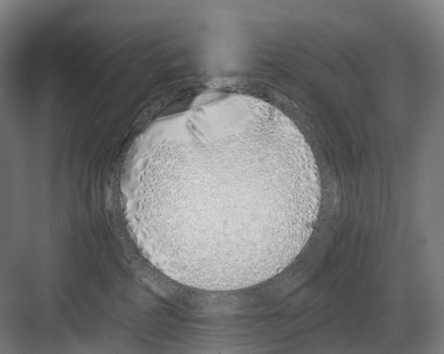 X0000082150234200702162217