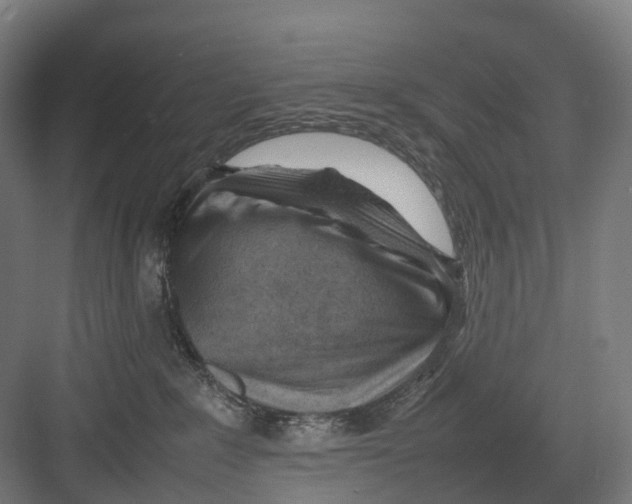 X0000082150235200702162217