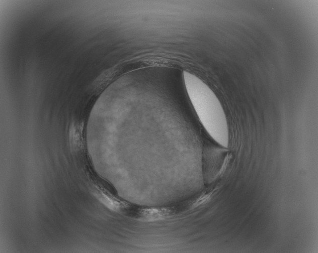 X0000082150239200702162216