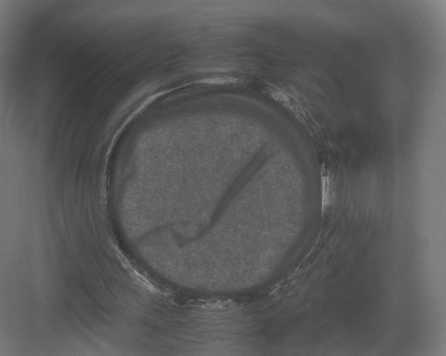 X0000082150243200702162216