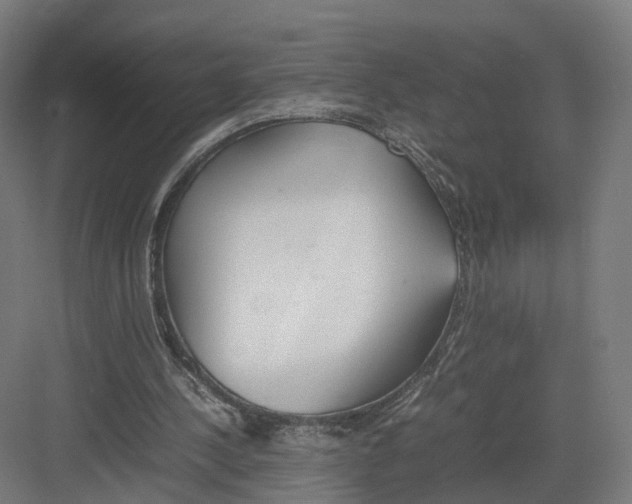 X0000082150244200702162216