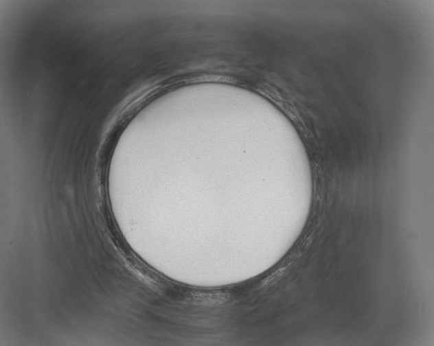 X0000082150245200702162216