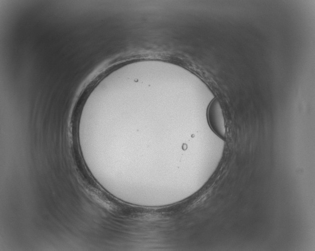 X0000082150246200702162216