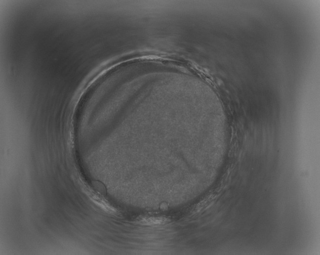 X0000082150247200702162216