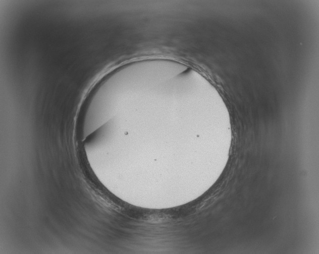 X0000082150248200702162216