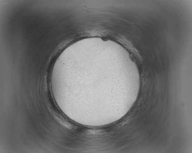 X0000082150250200702162216