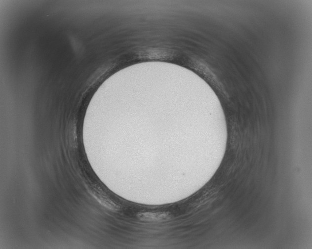 X0000082150251200702162216