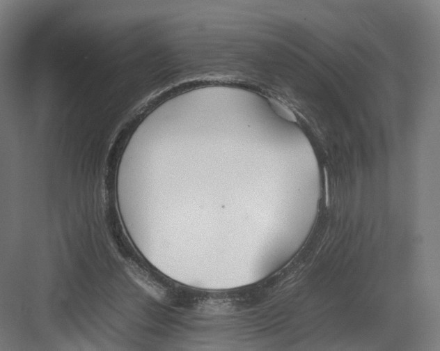 X0000082150252200702162216