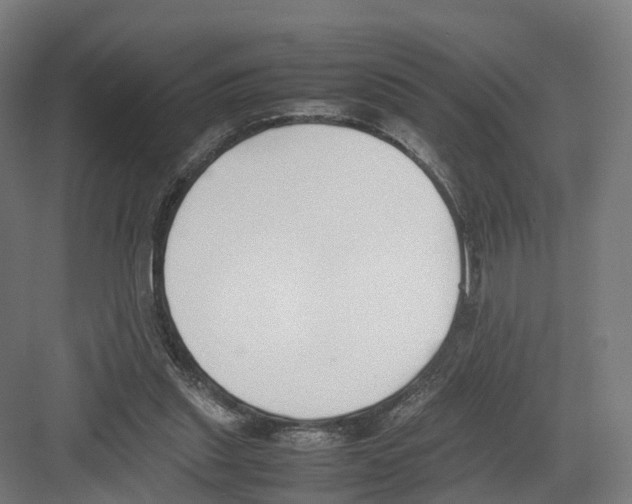 X0000082150253200702162216