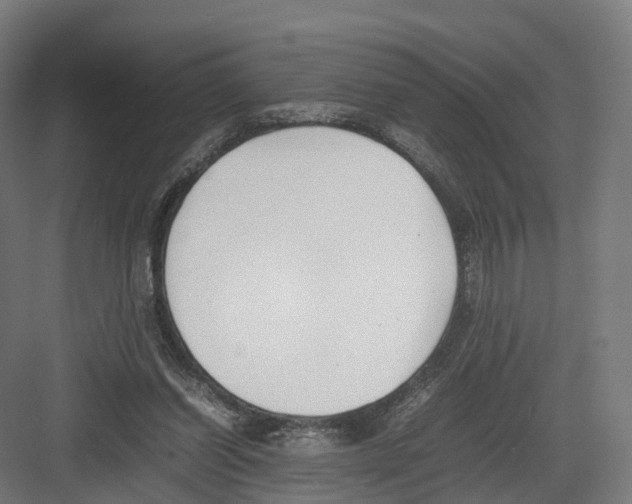 X0000082150254200702162216