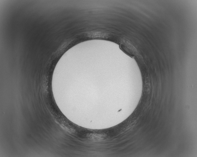 X0000082150255200702162216