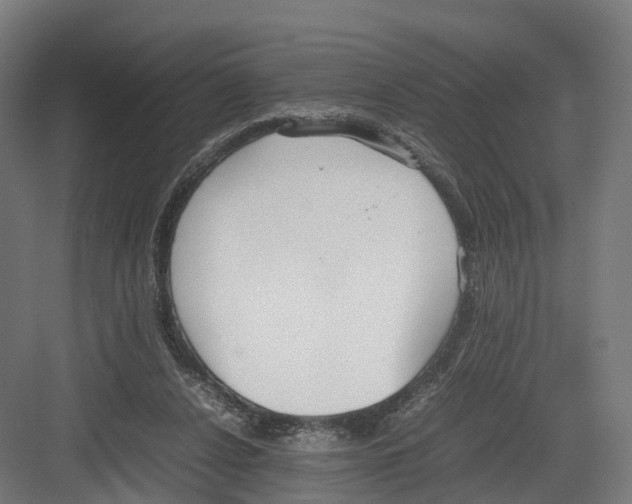 X0000082150256200702162216