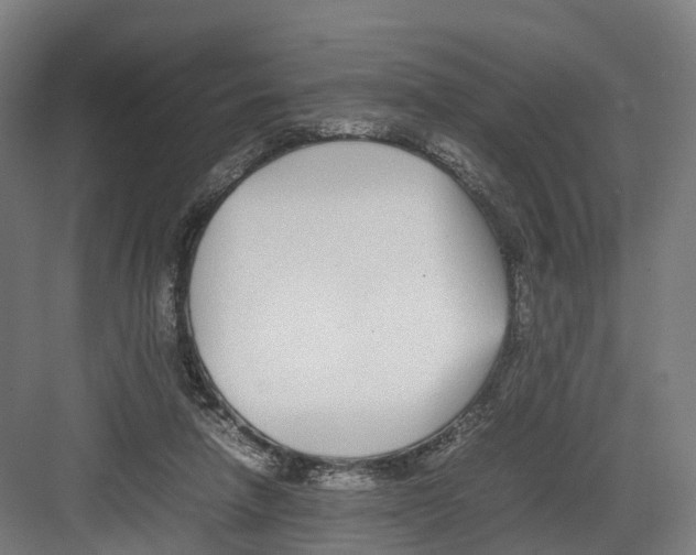 X0000082150258200702162216