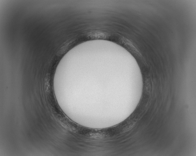 X0000082150259200702162216