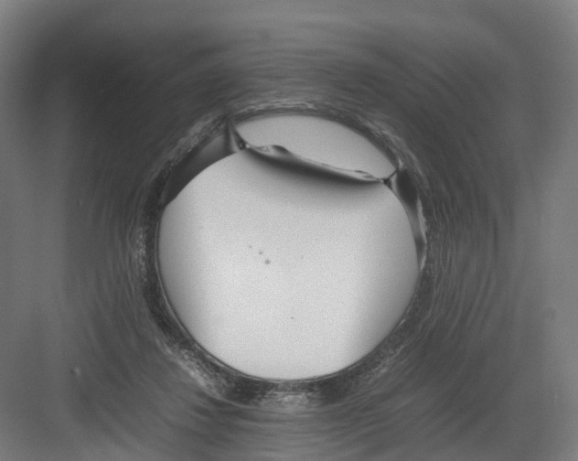 X0000082150260200702162216