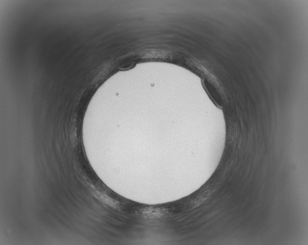 X0000082150261200702162216