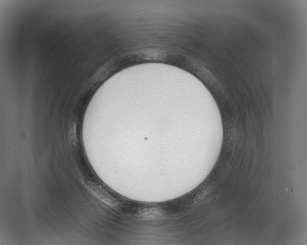 X0000082150262200702162216