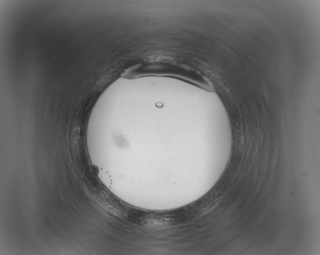 X0000082150263200702162216