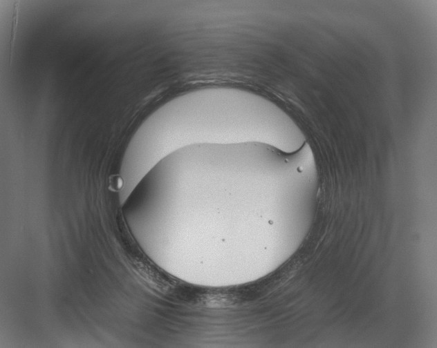 X0000082150264200702162216