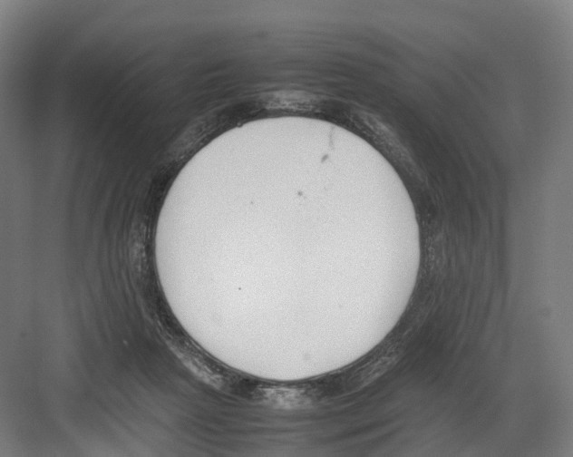 X0000082150265200702162216