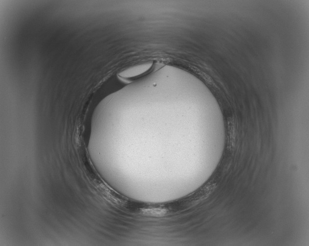 X0000082150266200702162216