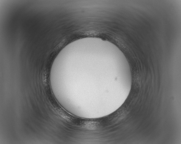 X0000082150268200702162216