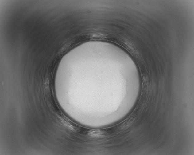 X0000082150269200702162216