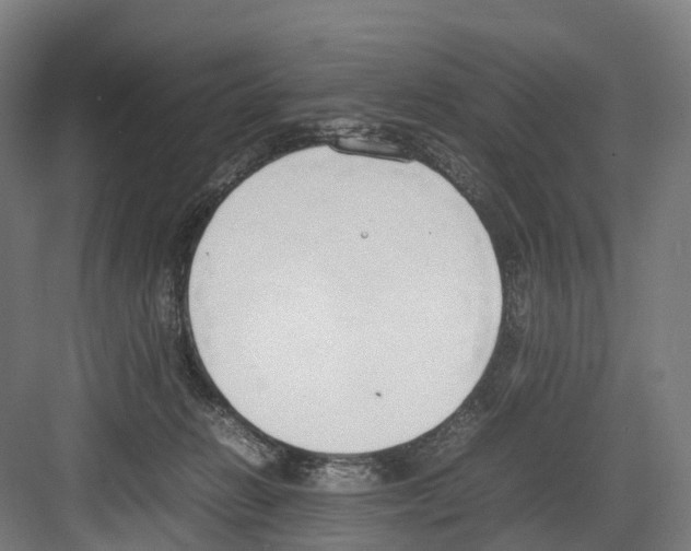 X0000082150270200702162216