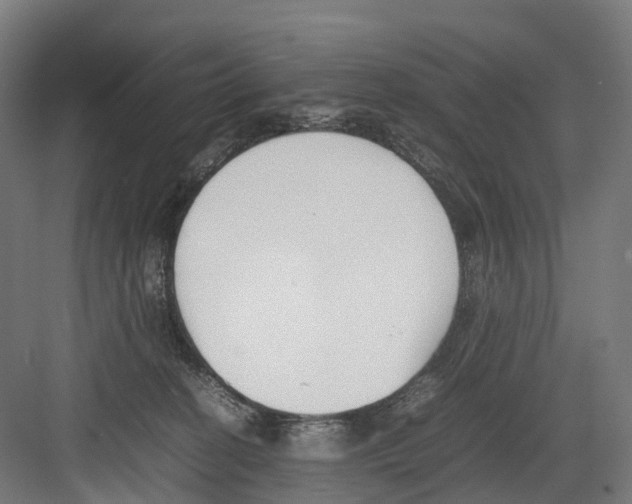 X0000082150274200702162216