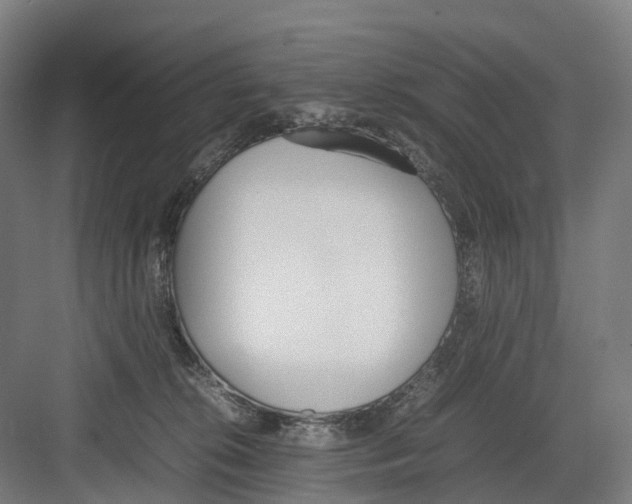 X0000082150276200702162216