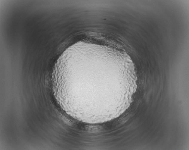 X0000082150277200702162216