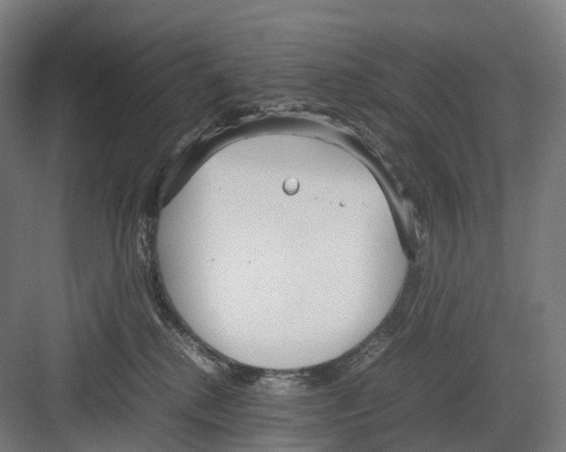 X0000082150280200702162216