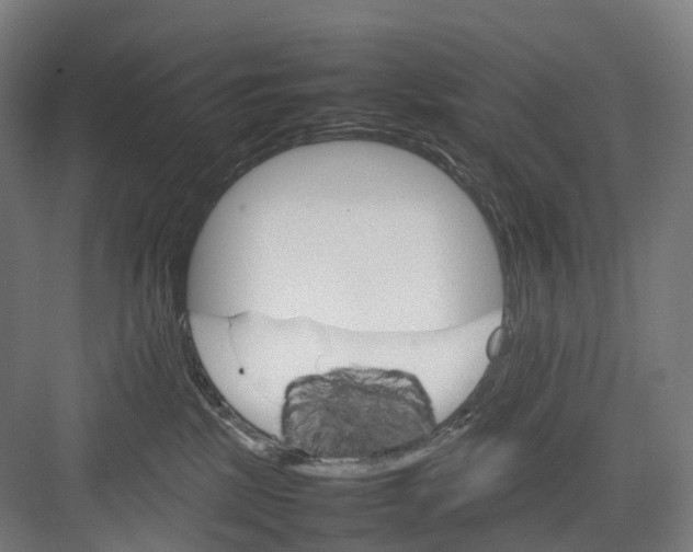 X0000082150281200702162216