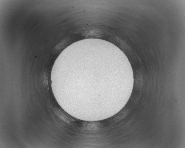 X0000082150282200702162216