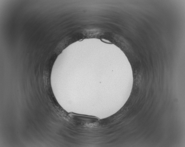 X0000082150283200702162216