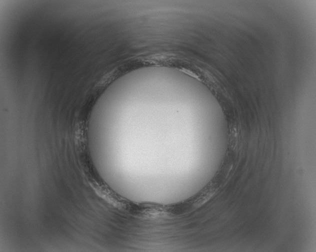 X0000082150284200702162216