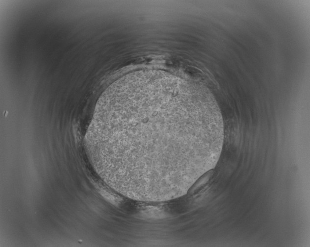 X0000082150285200702162216