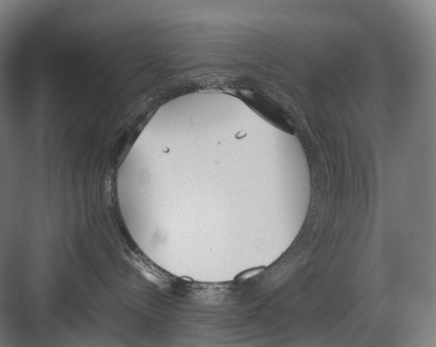 X0000082150288200702162216