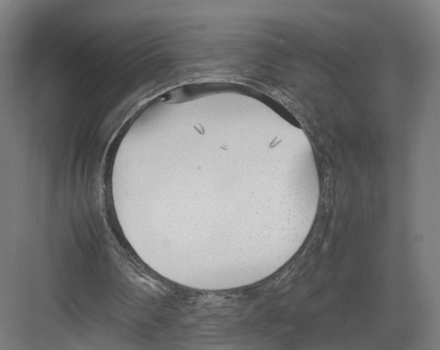 X0000082150290200702162216