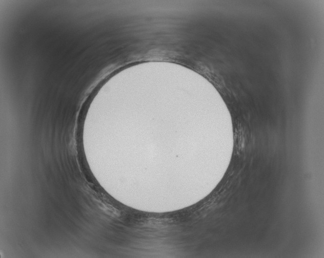 X0000082150292200702162216