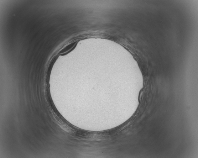 X0000082150293200702162216