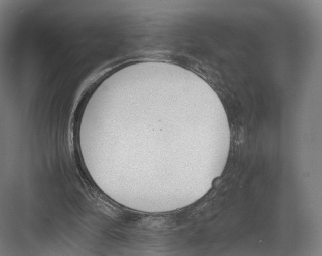 X0000082150294200702162216