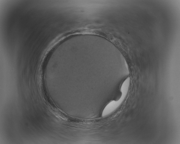 X0000082150295200702162216