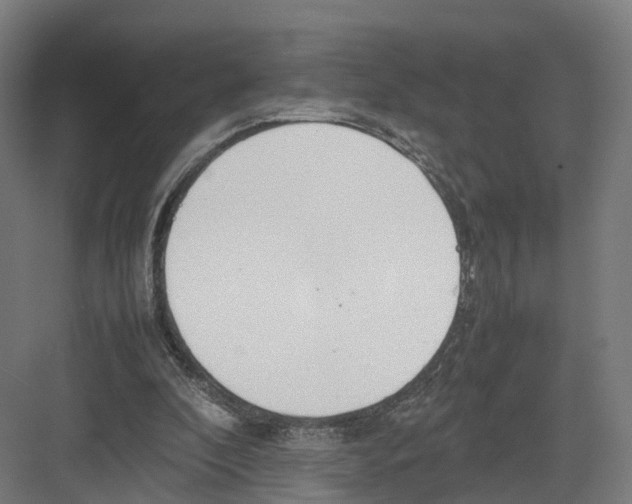 X0000082150296200702162216