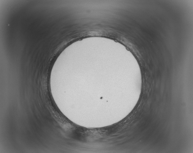 X0000082150297200702162215