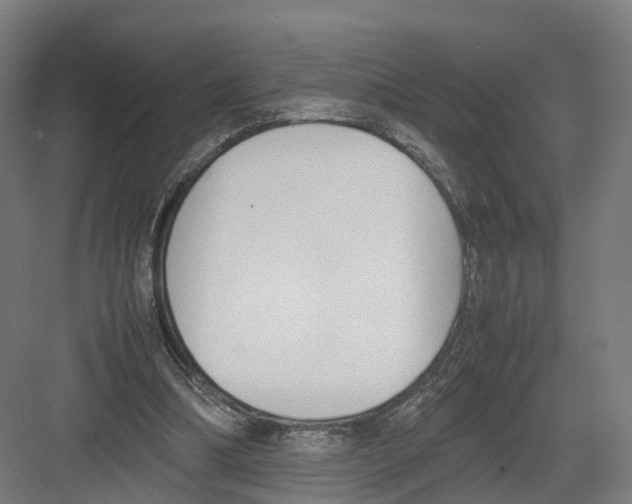 X0000082150298200702162215